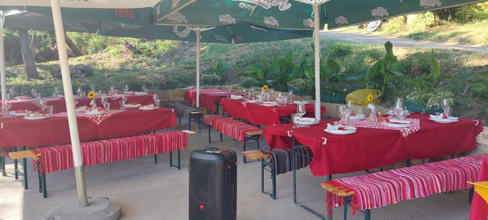 "Pivnica I Smestaj Jovanovic"- Rogljevacke Pivnice Rogljevo Exterior foto